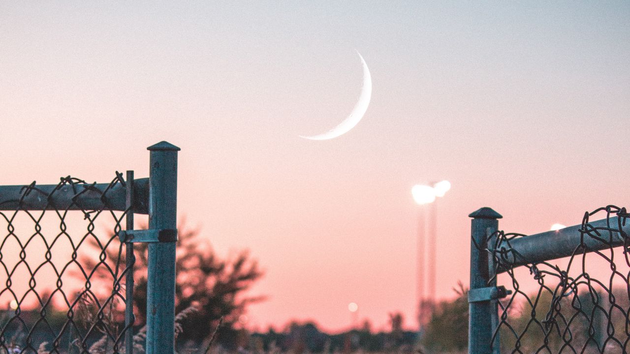 Wallpaper fence, sunset, moon, grass, mesh