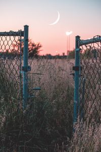 Preview wallpaper fence, sunset, moon, grass, mesh