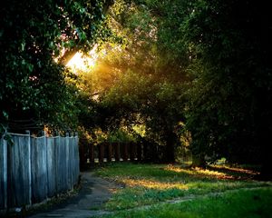 Preview wallpaper fence, track, trees, wire, yard, protection, light