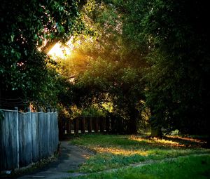 Preview wallpaper fence, track, trees, wire, yard, protection, light