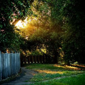 Preview wallpaper fence, track, trees, wire, yard, protection, light