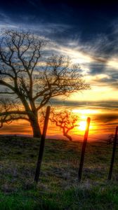 Preview wallpaper fence, trees, branches, wire, decline, sun