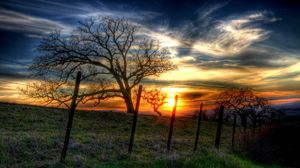 Preview wallpaper fence, trees, branches, wire, decline, sun