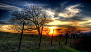 Preview wallpaper fence, trees, branches, wire, decline, sun