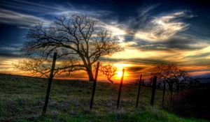 Preview wallpaper fence, trees, branches, wire, decline, sun