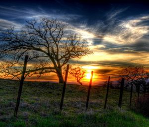 Preview wallpaper fence, trees, branches, wire, decline, sun