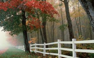 Preview wallpaper fence, trees, fog, autumn, leaves