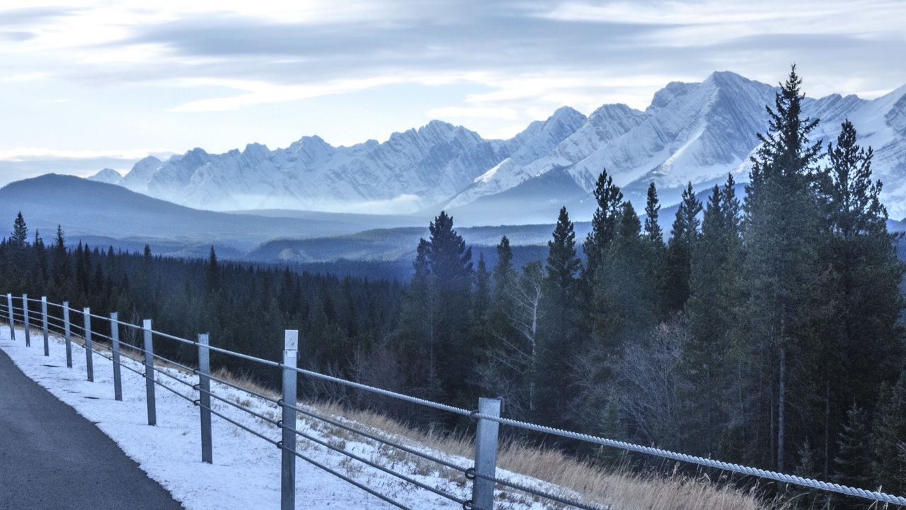 Wallpaper fence, trees, forest, mountains