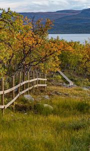 Preview wallpaper fence, trees, path, mountains, lake, landscape