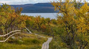 Preview wallpaper fence, trees, path, mountains, lake, landscape