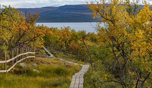 Preview wallpaper fence, trees, path, mountains, lake, landscape