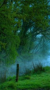 Preview wallpaper fence, trees, wire, fog, morning, river