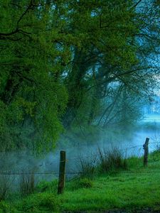 Preview wallpaper fence, trees, wire, fog, morning, river