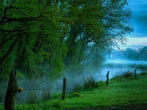 Preview wallpaper fence, trees, wire, fog, morning, river