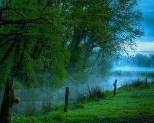 Preview wallpaper fence, trees, wire, fog, morning, river