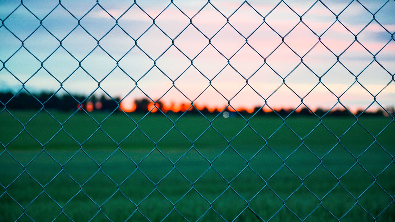 Wallpaper fence, wire mesh, grass