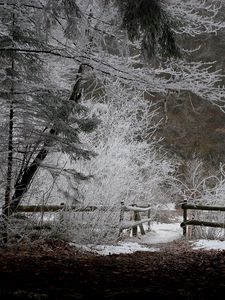 Preview wallpaper fence, wood, winter, snow, evening, hoarfrost, leaves