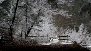 Preview wallpaper fence, wood, winter, snow, evening, hoarfrost, leaves