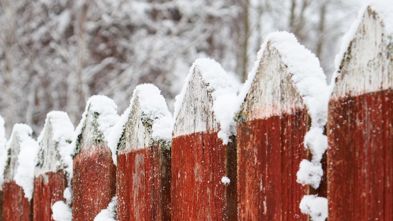 Wallpaper fence, wooden, snow, red