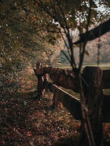 Preview wallpaper fence, wooden, trees, bushes, nature