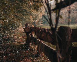 Preview wallpaper fence, wooden, trees, bushes, nature