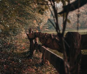 Preview wallpaper fence, wooden, trees, bushes, nature