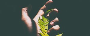 Preview wallpaper fern, leaf, hand, shadow