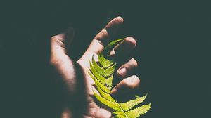 Preview wallpaper fern, leaf, hand, shadow