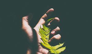 Preview wallpaper fern, leaf, hand, shadow