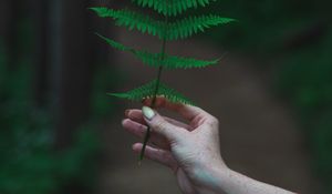 Preview wallpaper fern, leaf, hand