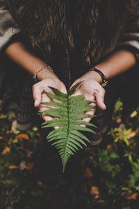 Preview wallpaper fern, leaf, hands, palms, autumn