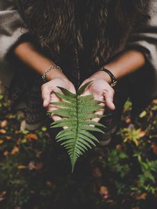 Preview wallpaper fern, leaf, hands, palms, autumn