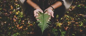 Preview wallpaper fern, leaf, hands, palms, autumn