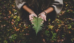 Preview wallpaper fern, leaf, hands, palms, autumn