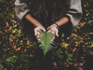 Preview wallpaper fern, leaf, hands, palms, autumn