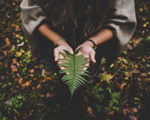 Preview wallpaper fern, leaf, hands, palms, autumn