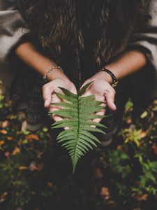 Preview wallpaper fern, leaf, hands