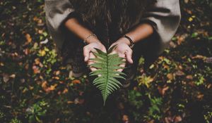 Preview wallpaper fern, leaf, hands