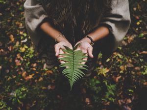 Preview wallpaper fern, leaf, hands