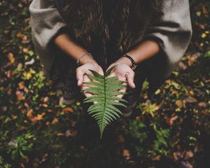 Preview wallpaper fern, leaf, hands