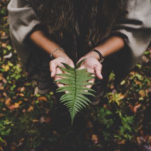 Preview wallpaper fern, leaf, hands