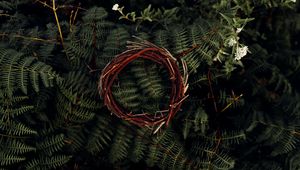 Preview wallpaper fern, leaves, plant, wreath, branches, macro