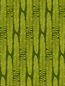 Preview wallpaper fern, leaves, texture, art, plant, green