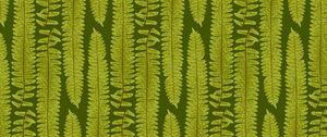 Preview wallpaper fern, leaves, texture, art, plant, green