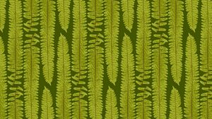 Preview wallpaper fern, leaves, texture, art, plant, green