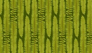 Preview wallpaper fern, leaves, texture, art, plant, green