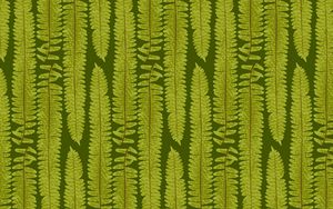 Preview wallpaper fern, leaves, texture, art, plant, green