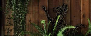 Preview wallpaper fern, plant, cat, wooden