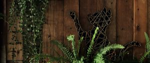 Preview wallpaper fern, plant, cat, wooden