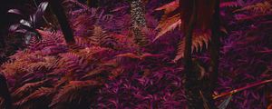 Preview wallpaper fern, plants, jungle, tropical, thick, purple